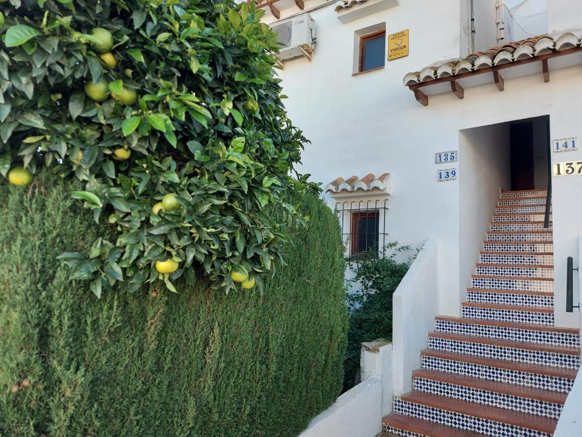 Bebi Casa Apartment Torrevieja